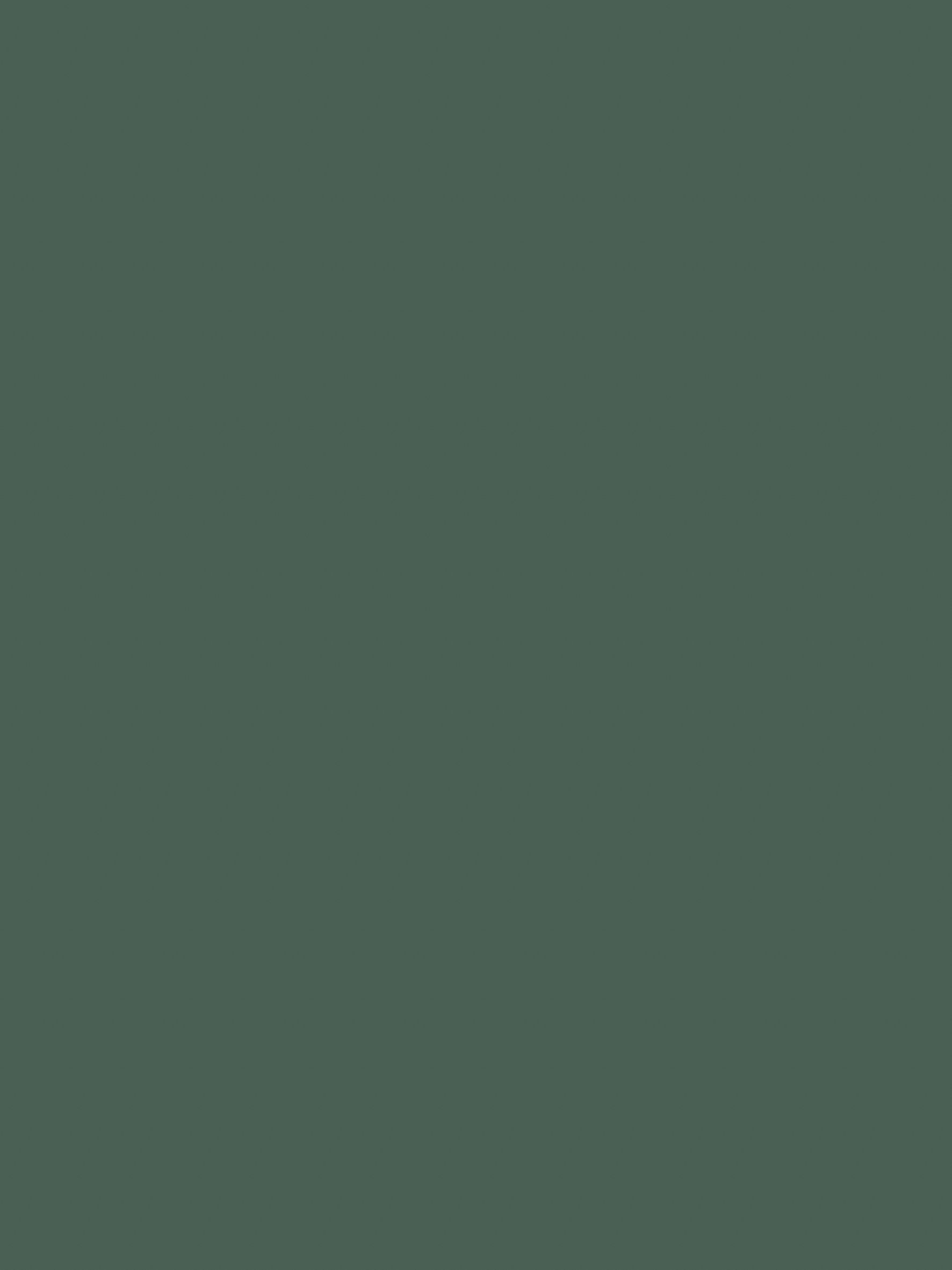 LM-479